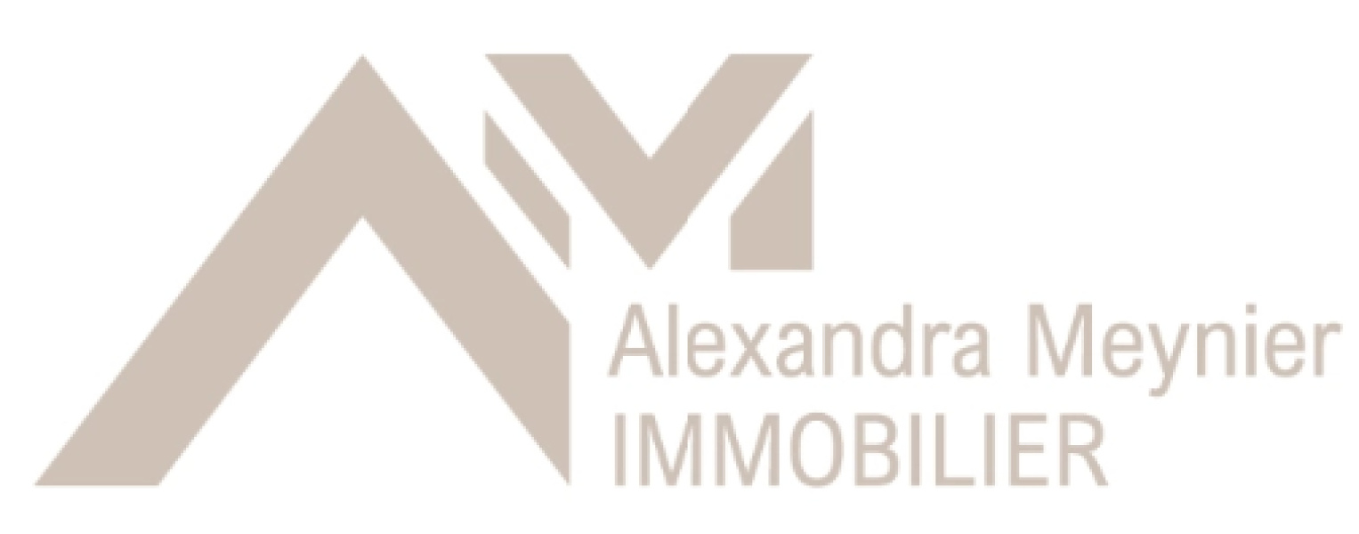 Logo de l'agence A.m Immobilier